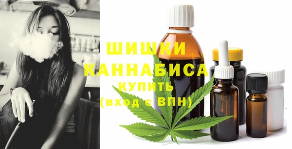 дурь Арсеньев