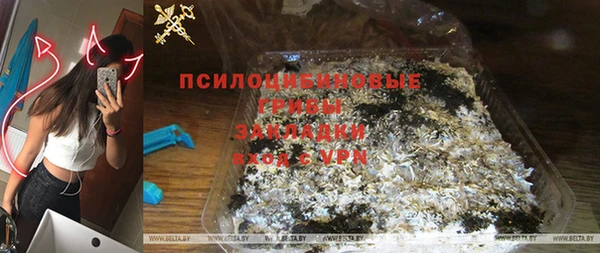 дурь Арсеньев