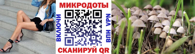 Купить закладки  Нижние Серги  Галлюциногенные грибы ЛСД 