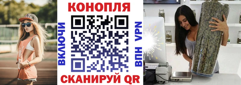 Канабис семена  Купить закладки  Нижние Серги 